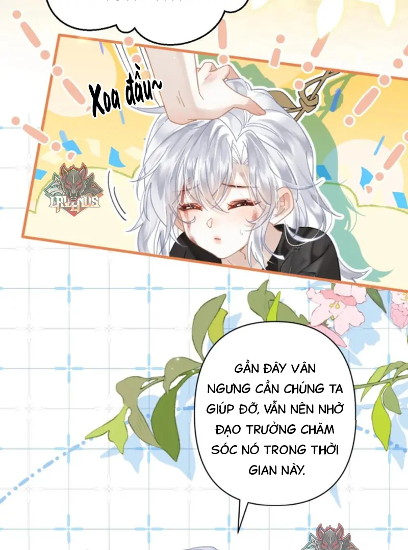 Đông Hải Tìm Mỹ Nhân Chapter 57 - Trang 2