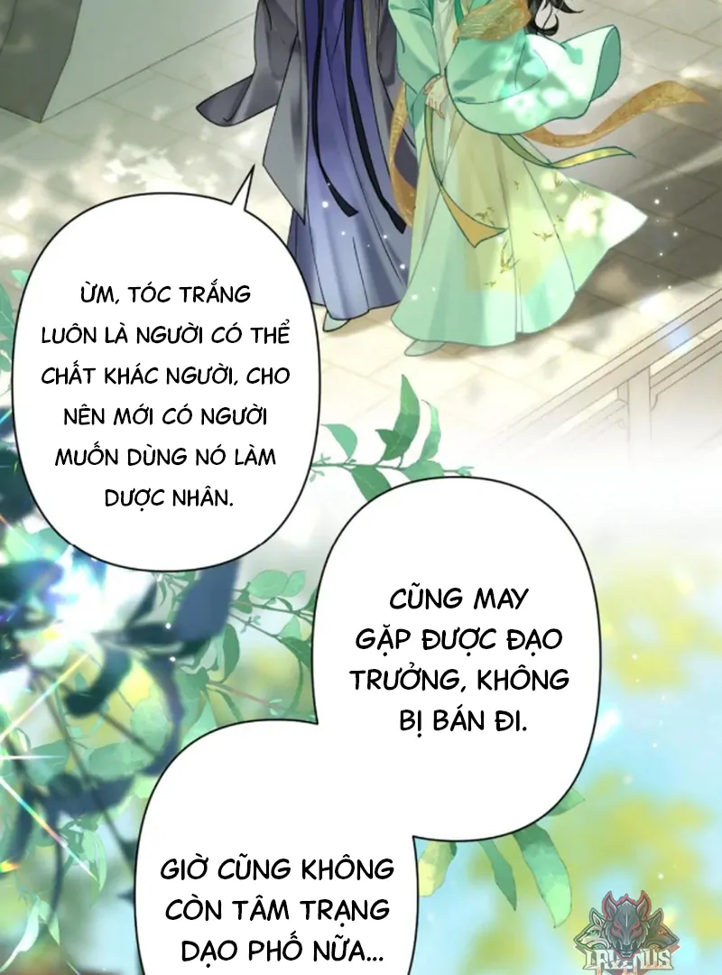 Đông Hải Tìm Mỹ Nhân Chapter 57 - Trang 2