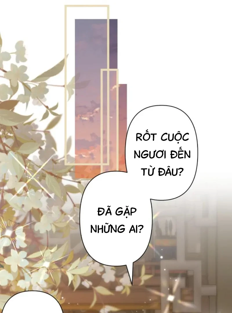 Đông Hải Tìm Mỹ Nhân Chapter 61 - Trang 2