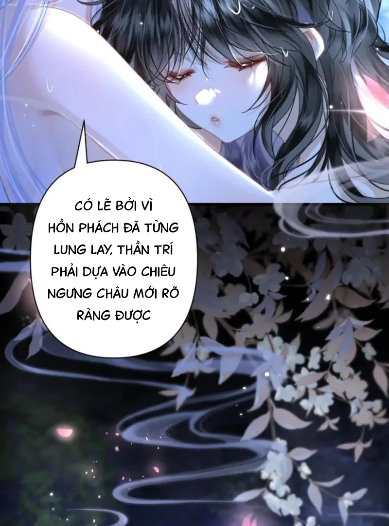 Đông Hải Tìm Mỹ Nhân Chapter 62 - Trang 2
