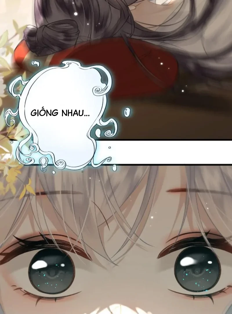 Đông Hải Tìm Mỹ Nhân Chapter 62 - Trang 2