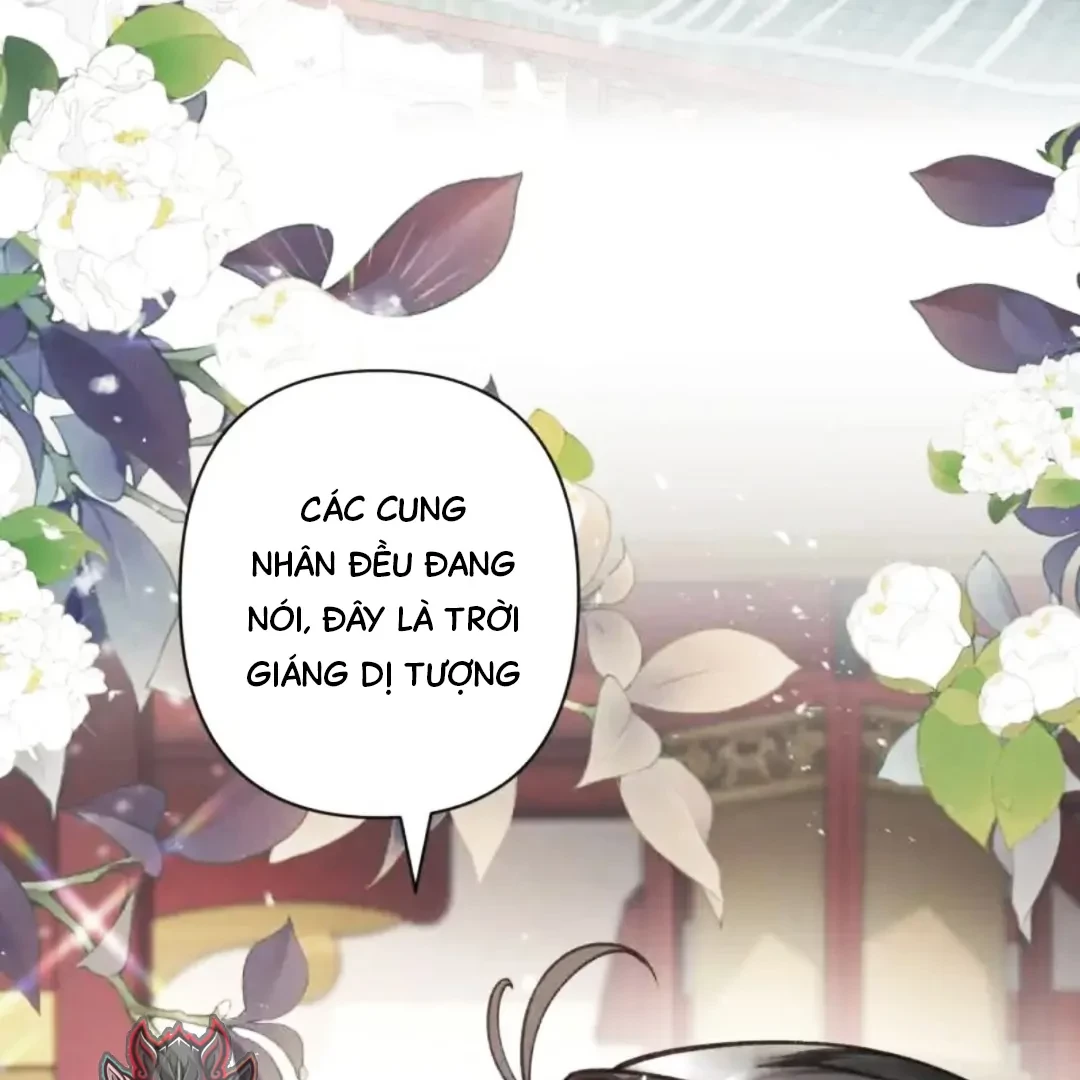 Đông Hải Tìm Mỹ Nhân Chapter 63 - Trang 2