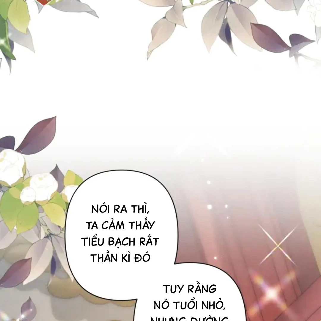 Đông Hải Tìm Mỹ Nhân Chapter 63 - Trang 2