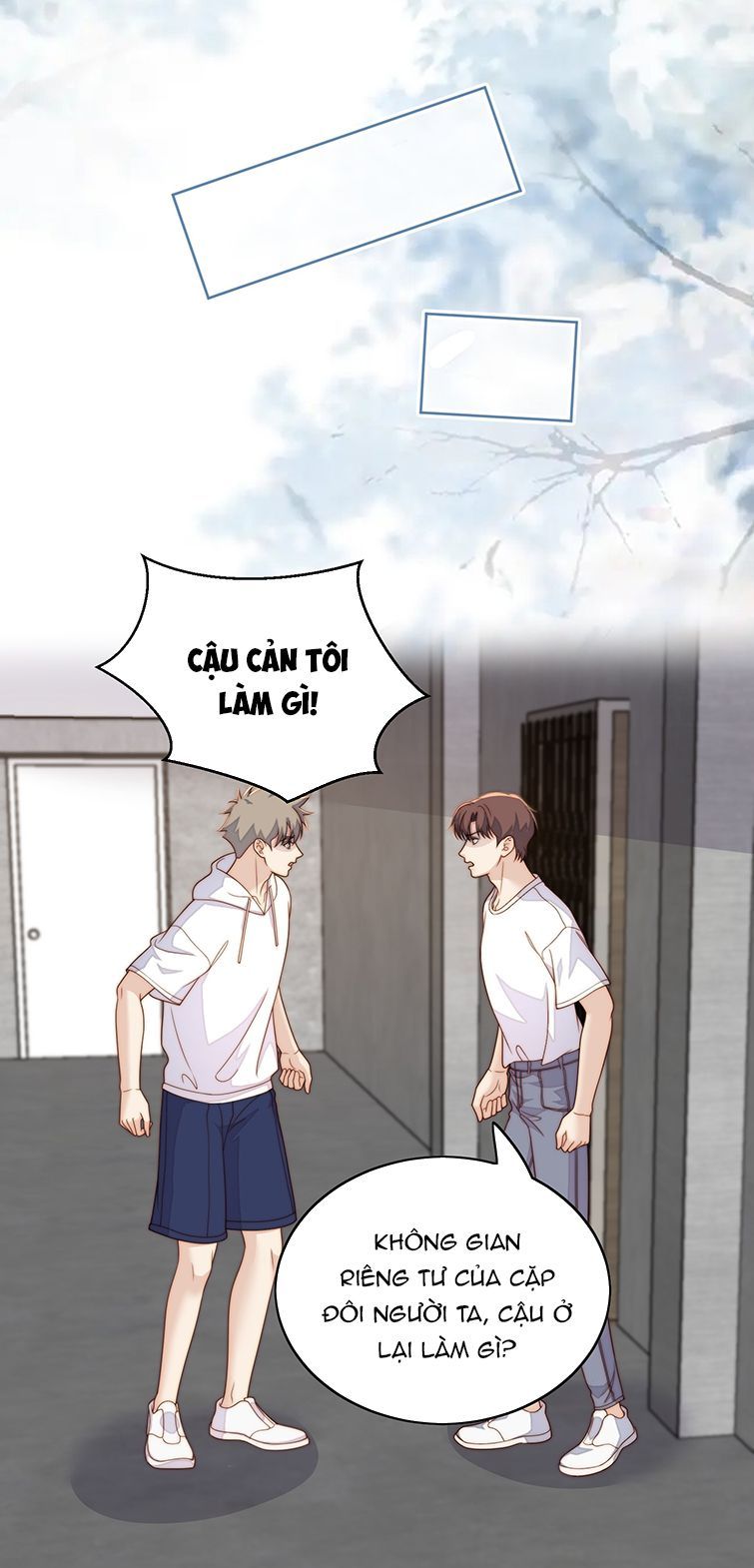 Tôi Bảo Bạn Cùng Bàn Đánh Cậu Chapter 80 - Trang 2