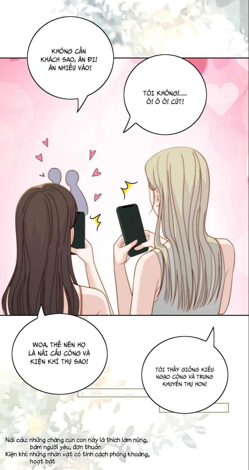 Tôi Bảo Bạn Cùng Bàn Đánh Cậu Chapter 81 - Trang 2
