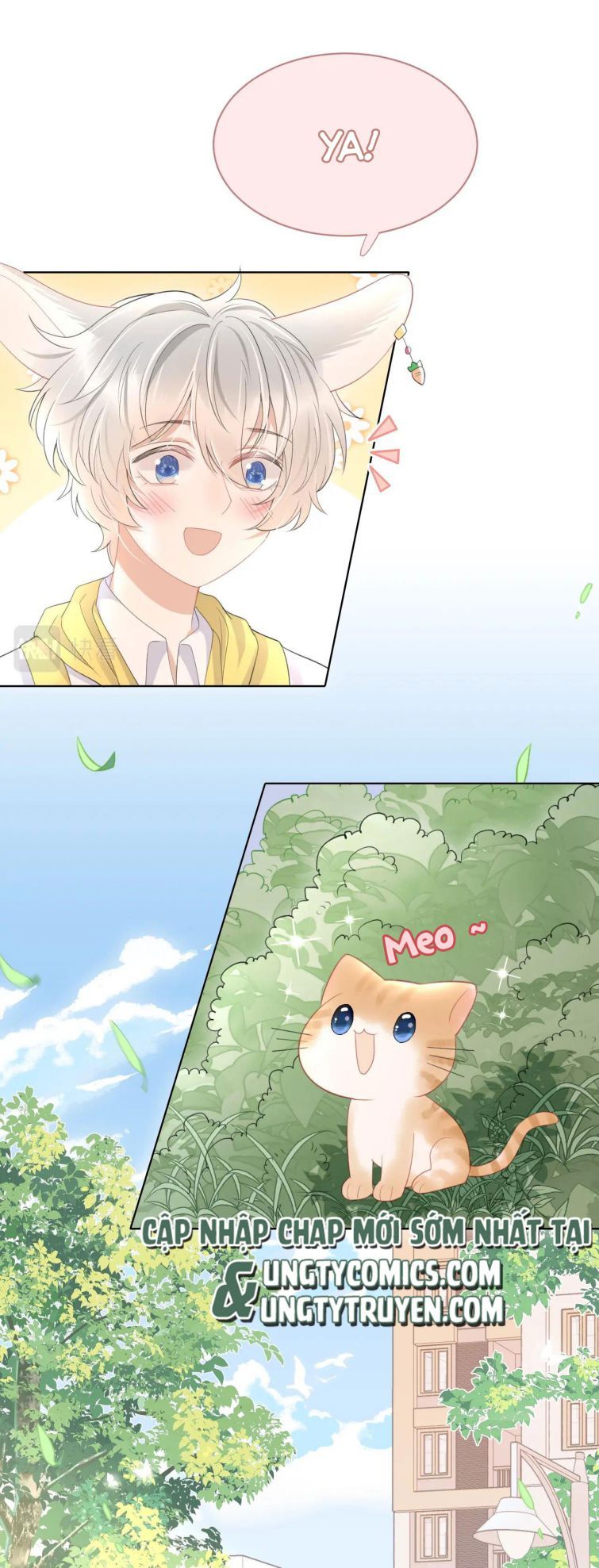 Một Ngụm Nuốt Trọn Thỏ Con Chapter 19 - Trang 2