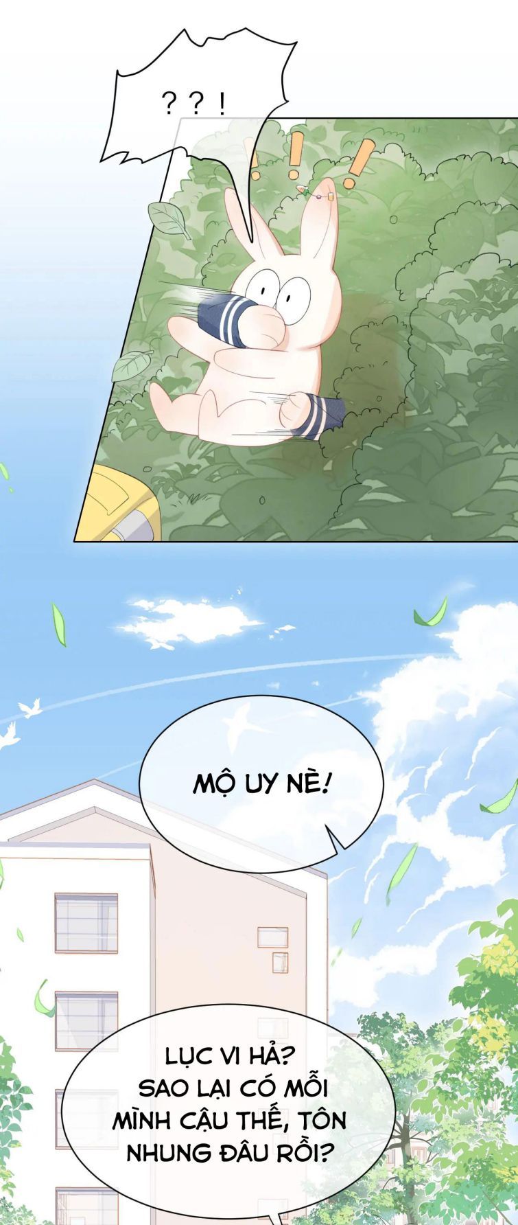 Một Ngụm Nuốt Trọn Thỏ Con Chapter 19 - Trang 2