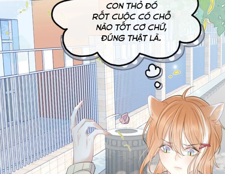 Một Ngụm Nuốt Trọn Thỏ Con Chapter 31 - Trang 2