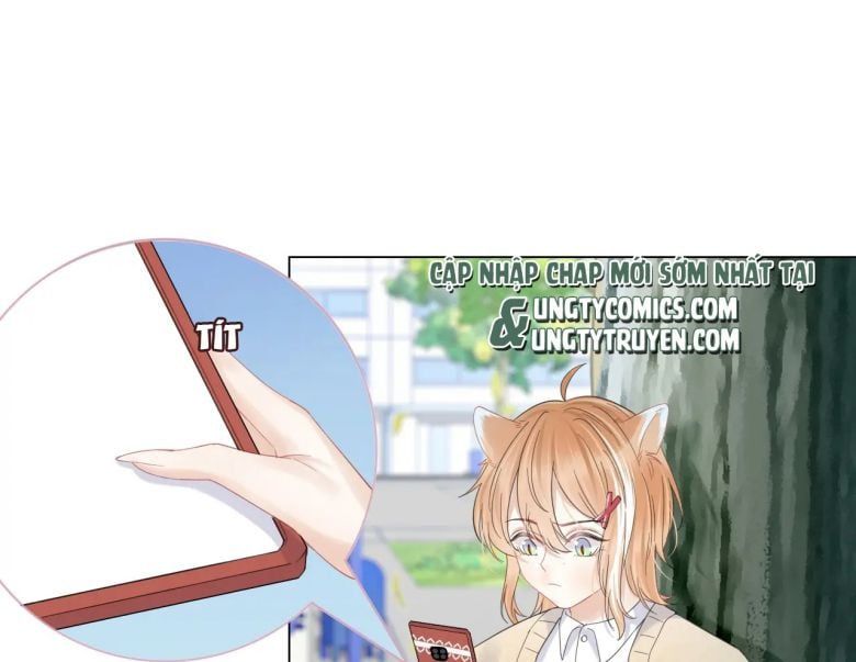 Một Ngụm Nuốt Trọn Thỏ Con Chapter 31 - Trang 2