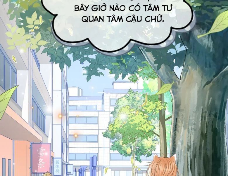 Một Ngụm Nuốt Trọn Thỏ Con Chapter 31 - Trang 2