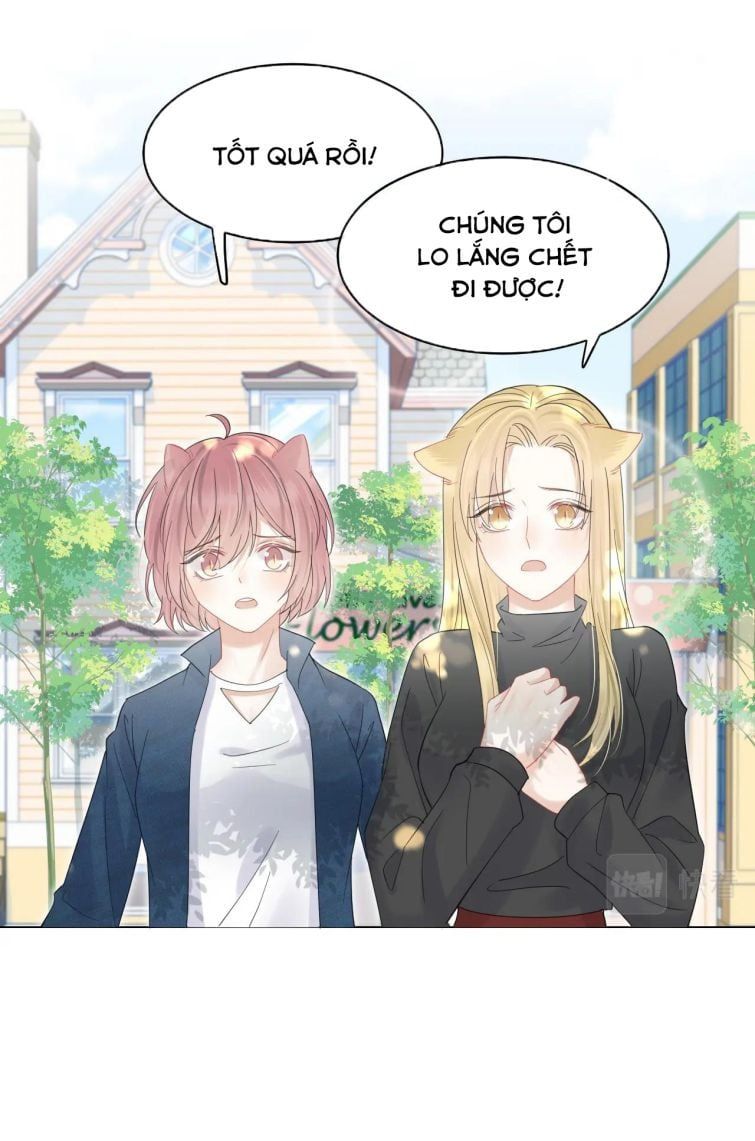 Một Ngụm Nuốt Trọn Thỏ Con Chapter 32 - Trang 2