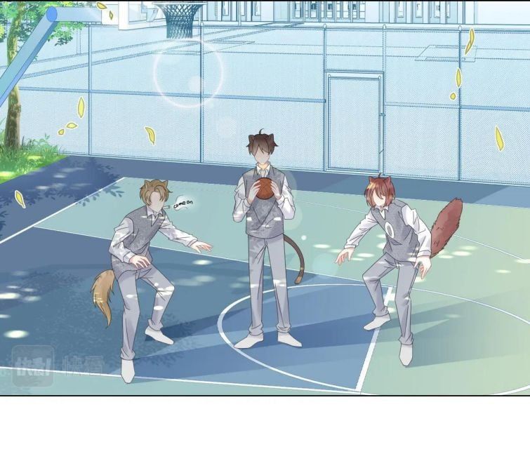 Một Ngụm Nuốt Trọn Thỏ Con Chapter 32 - Trang 2