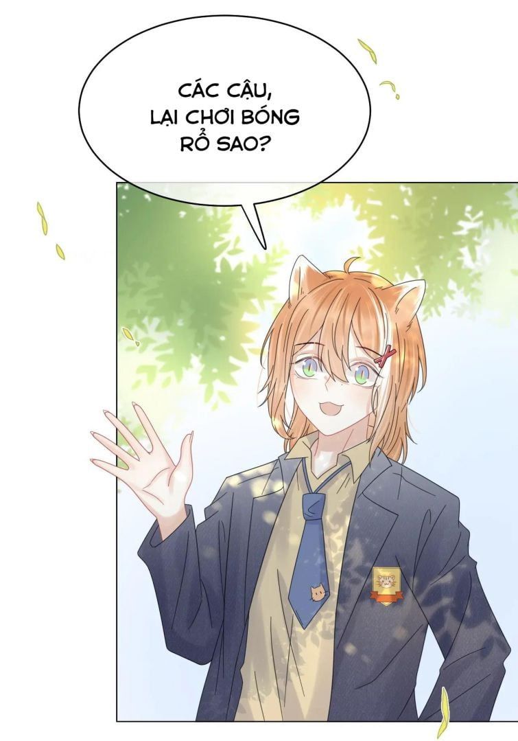 Một Ngụm Nuốt Trọn Thỏ Con Chapter 32 - Trang 2