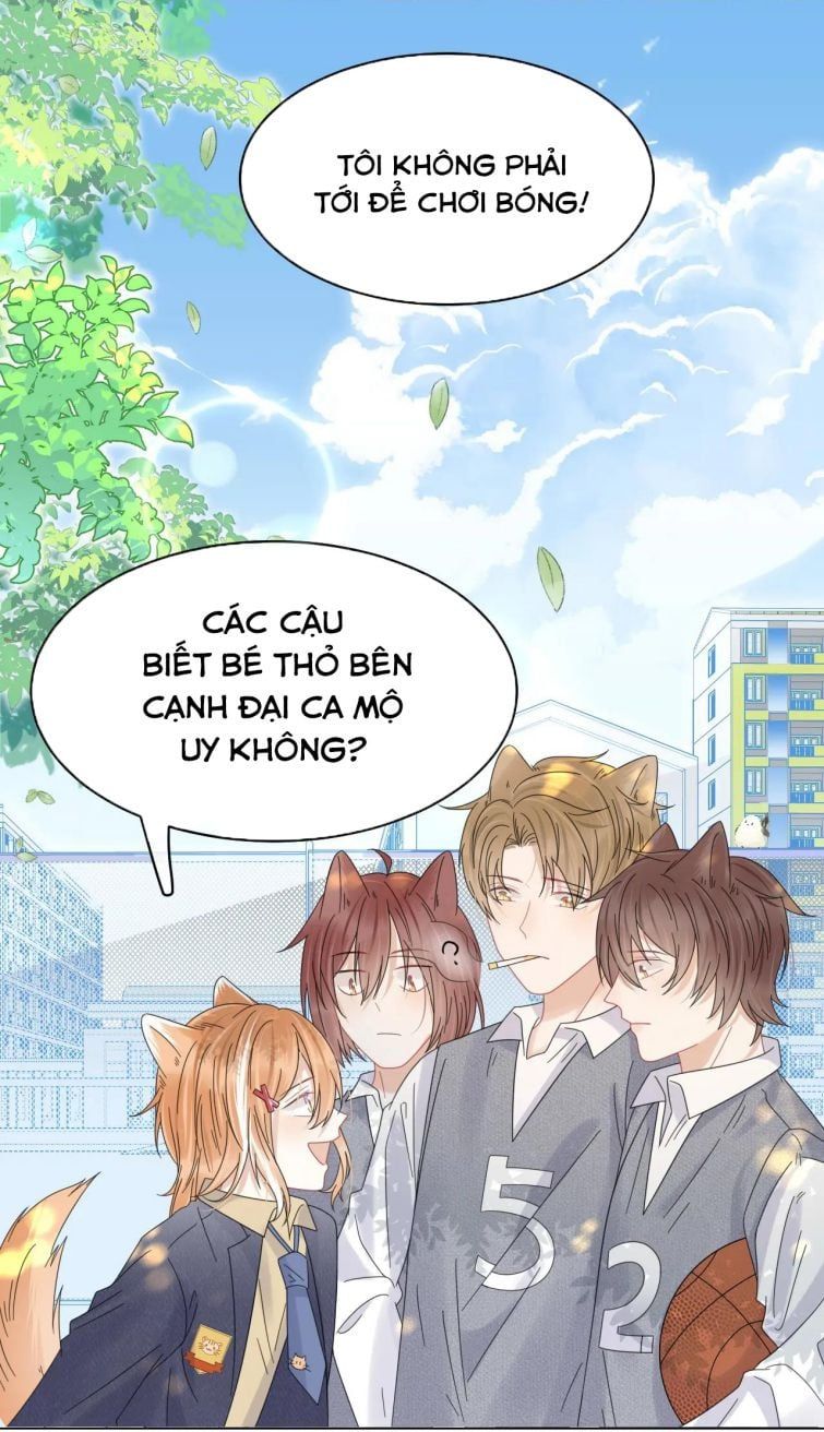 Một Ngụm Nuốt Trọn Thỏ Con Chapter 32 - Trang 2