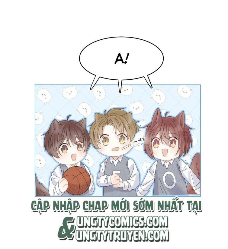 Một Ngụm Nuốt Trọn Thỏ Con Chapter 32 - Trang 2