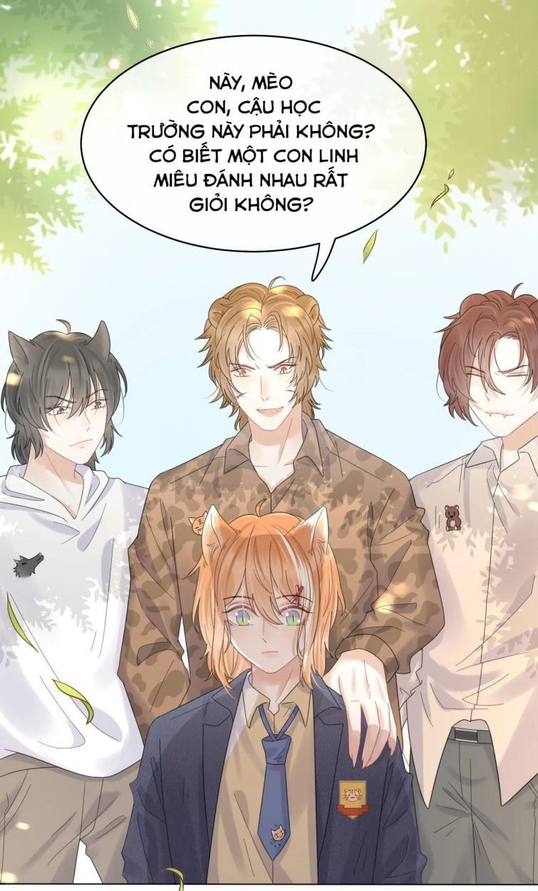 Một Ngụm Nuốt Trọn Thỏ Con Chapter 32 - Trang 2