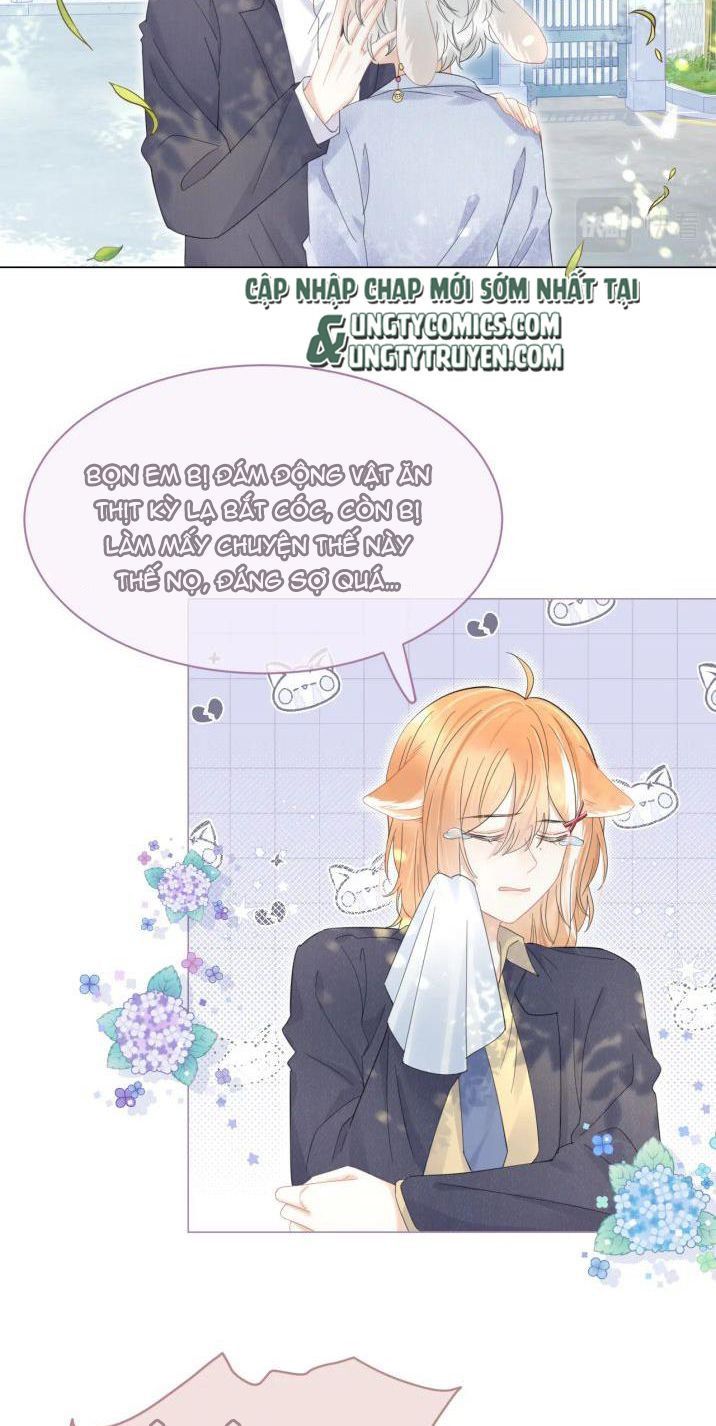 Một Ngụm Nuốt Trọn Thỏ Con Chapter 35 - Trang 2