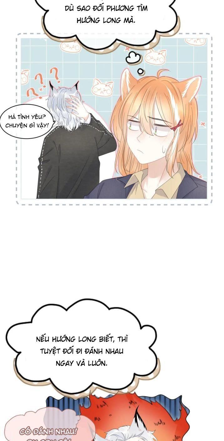 Một Ngụm Nuốt Trọn Thỏ Con Chapter 35 - Trang 2