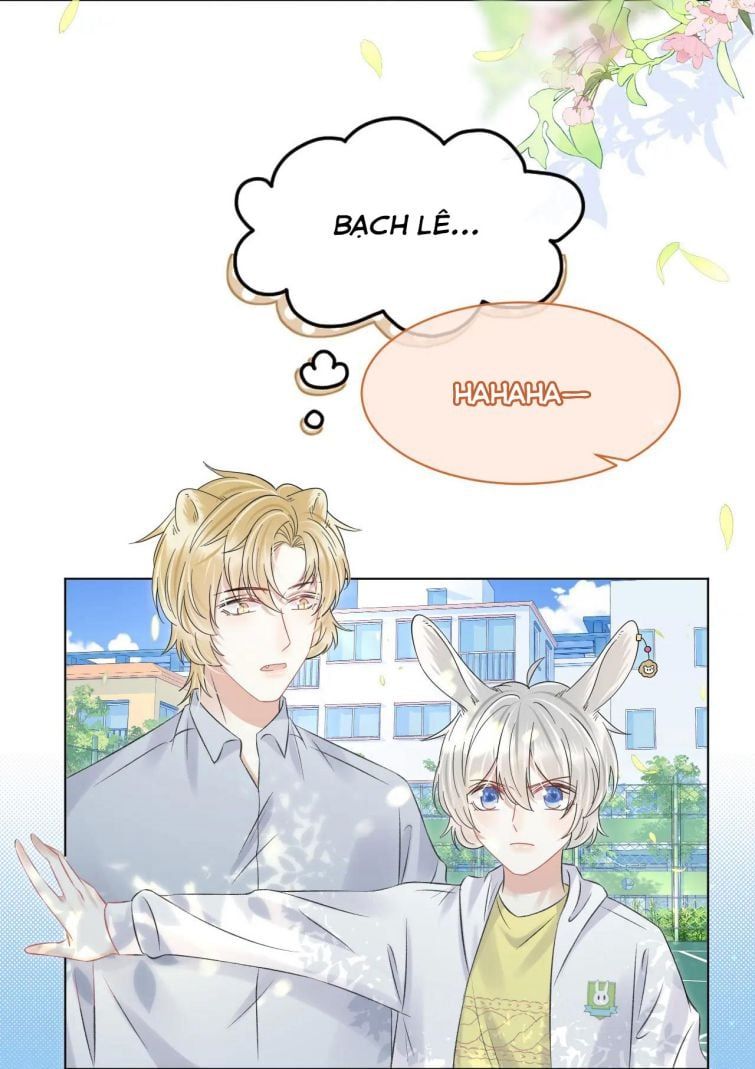Một Ngụm Nuốt Trọn Thỏ Con Chapter 38 - Trang 2