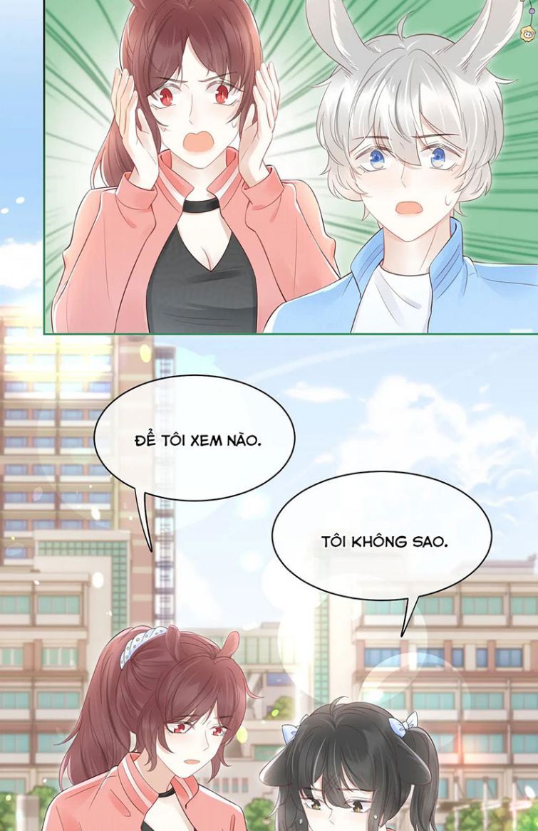 Một Ngụm Nuốt Trọn Thỏ Con Chapter 41 - Trang 2