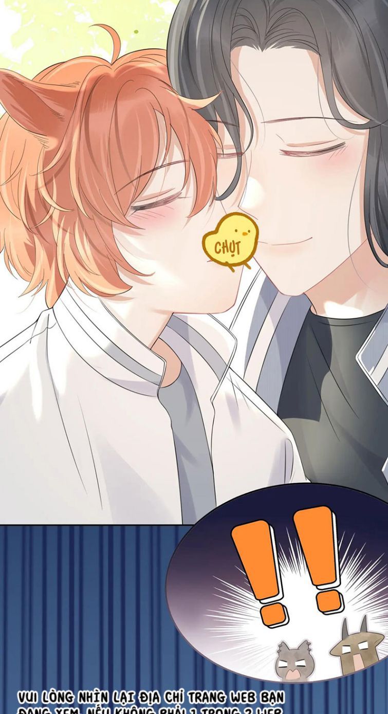 Một Ngụm Nuốt Trọn Thỏ Con Chapter 42 - Trang 2