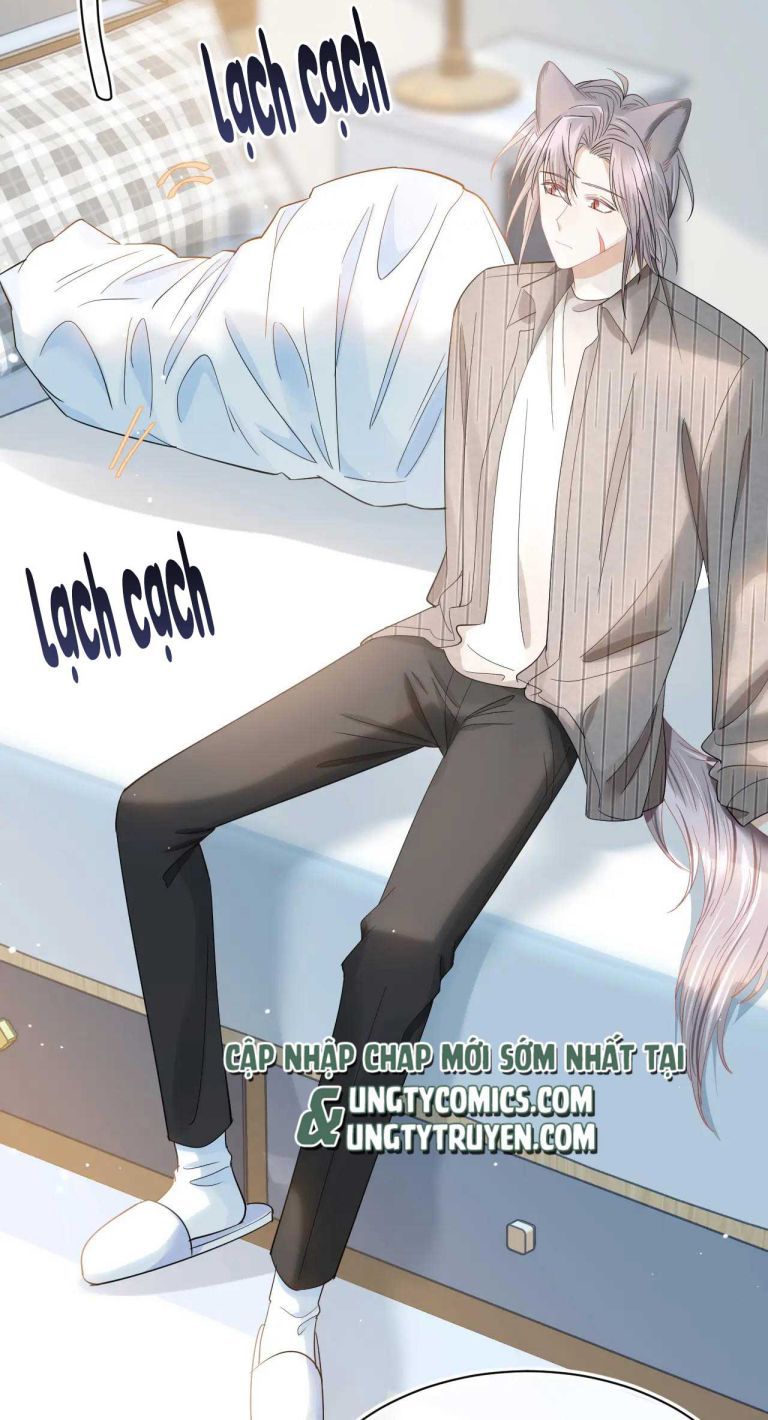 Một Ngụm Nuốt Trọn Thỏ Con Chapter 70 - Trang 2