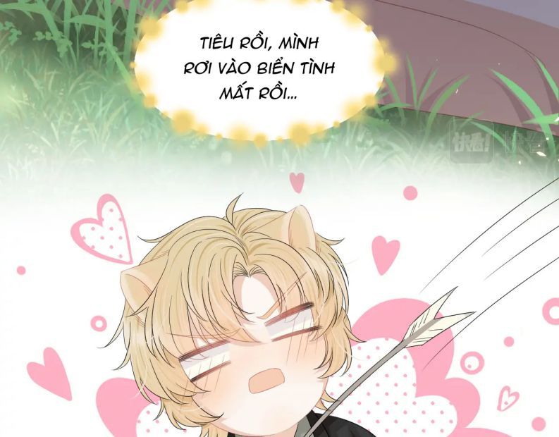 Một Ngụm Nuốt Trọn Thỏ Con Chapter 82 - Trang 2