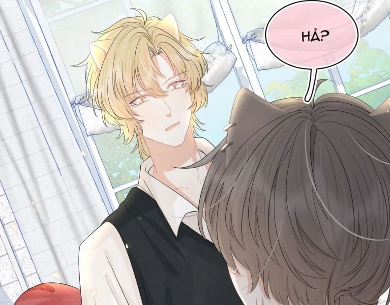Một Ngụm Nuốt Trọn Thỏ Con Chapter 82 - Trang 2