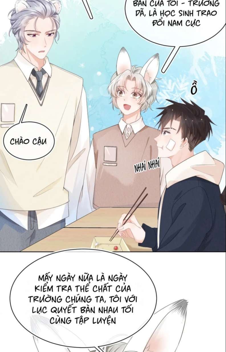 Một Ngụm Nuốt Trọn Thỏ Con Chapter 93 - Trang 2