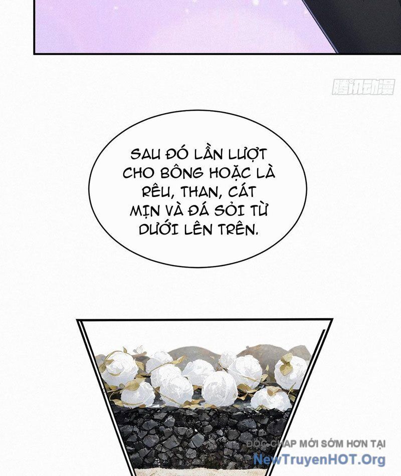 Mạt Thế Chi Đỉnh, Đối Kháng Với Quái Dị Cấp Diệt Thế! Chapter 25 - Trang 2