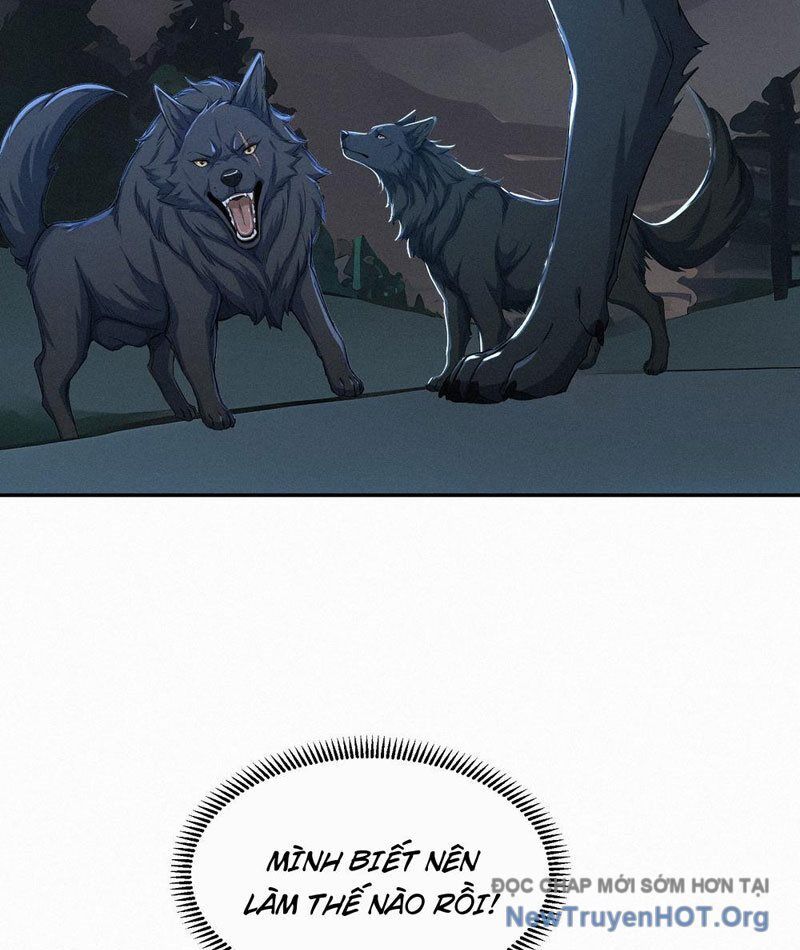 Mạt Thế Chi Đỉnh, Đối Kháng Với Quái Dị Cấp Diệt Thế! Chapter 25 - Trang 2