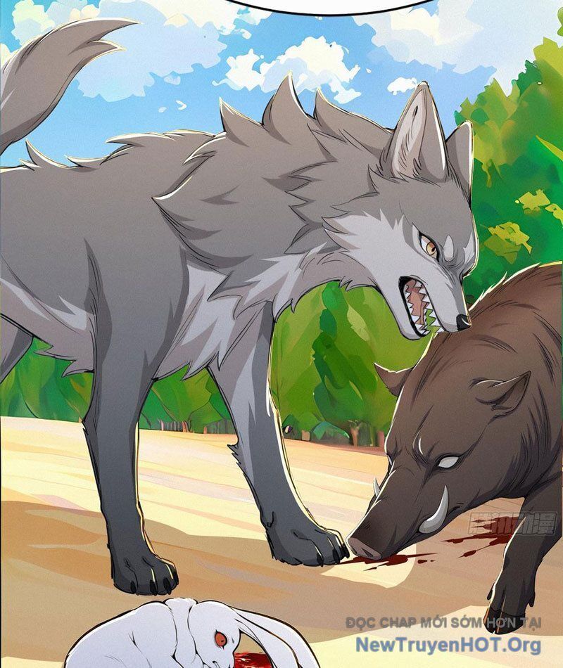 Mạt Thế Chi Đỉnh, Đối Kháng Với Quái Dị Cấp Diệt Thế! Chapter 26 - Trang 2