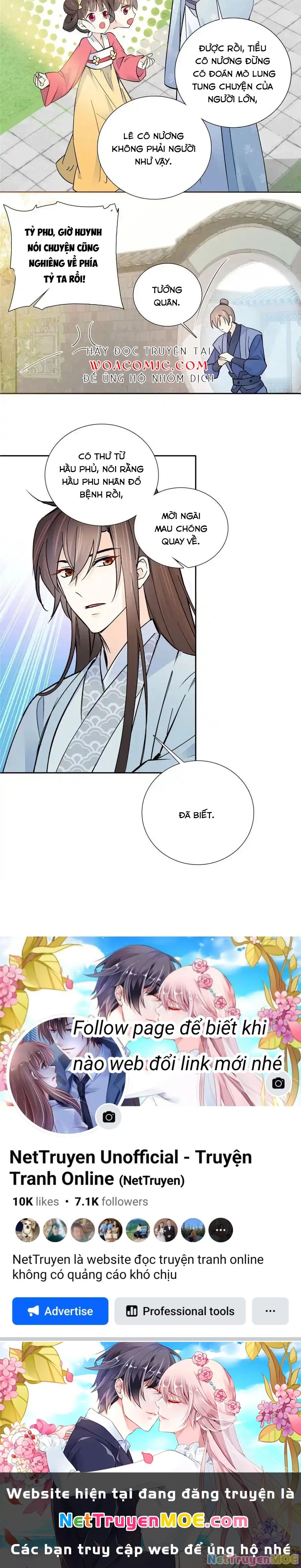 Thiều Quang Mạn Chapter 140 - Trang 2