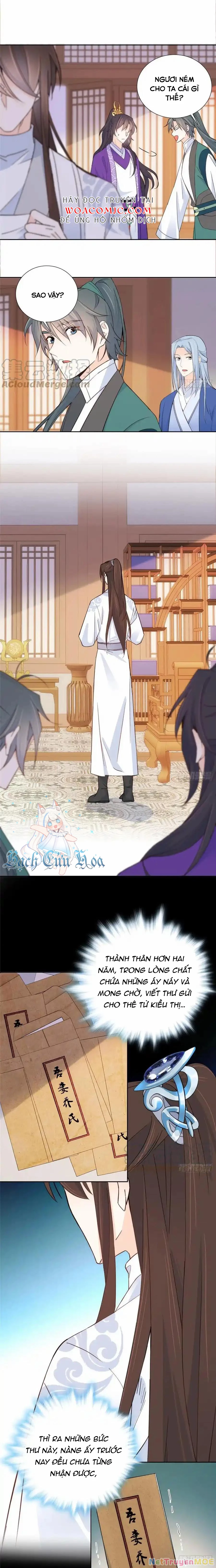 Thiều Quang Mạn Chapter 143 - Trang 2