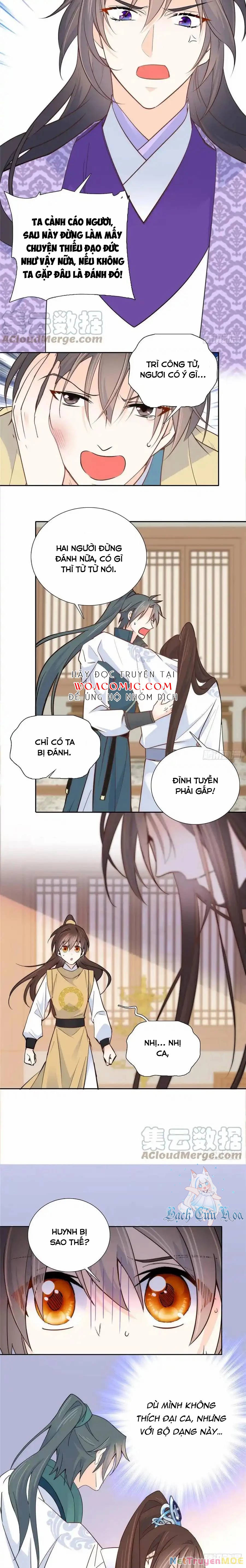 Thiều Quang Mạn Chapter 143 - Trang 2