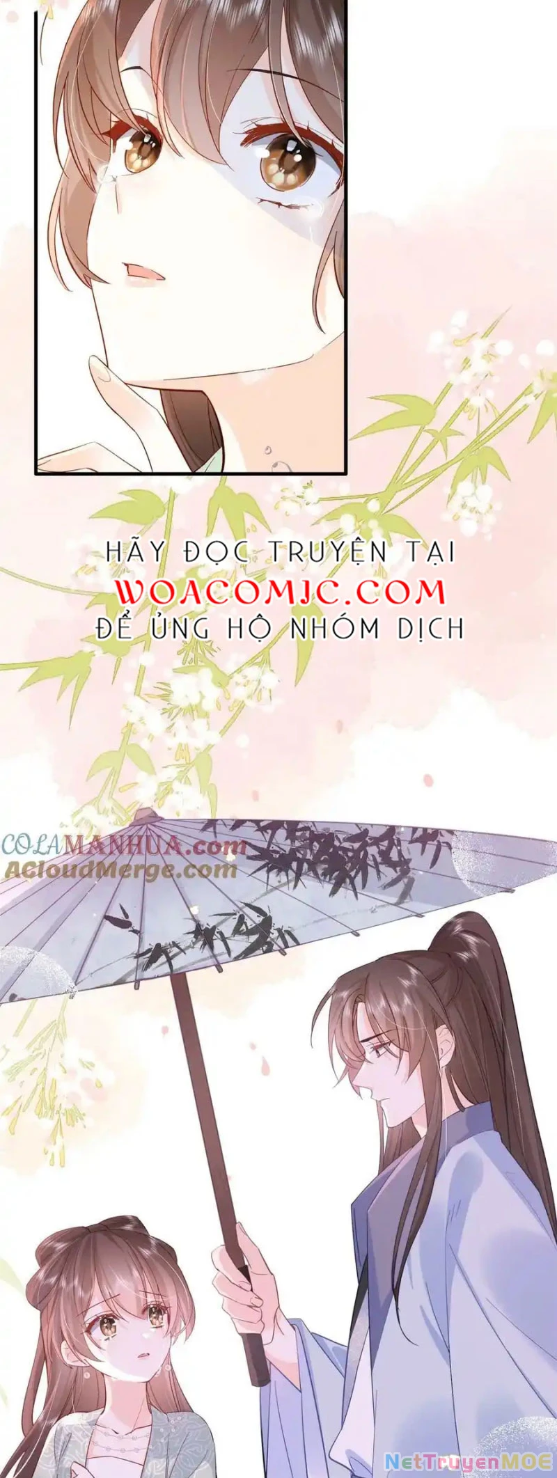 Thiều Quang Mạn Chapter 155 - Trang 2