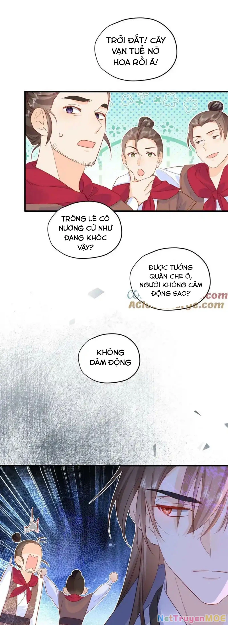Thiều Quang Mạn Chapter 155 - Trang 2