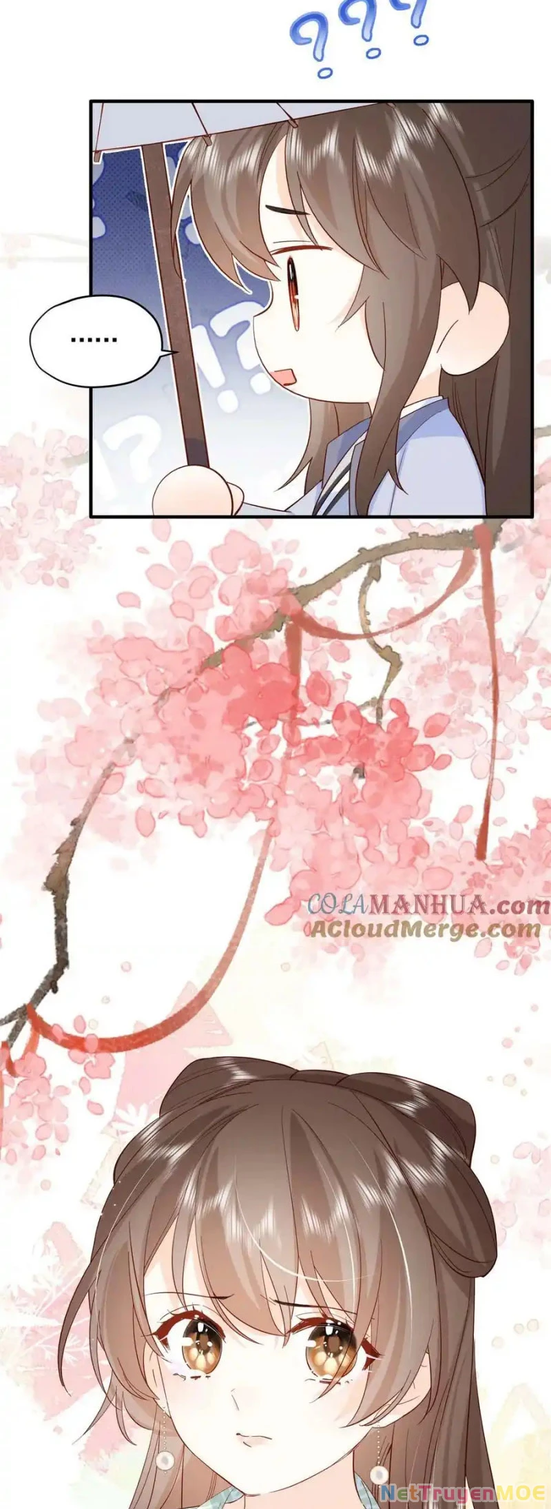 Thiều Quang Mạn Chapter 155 - Trang 2