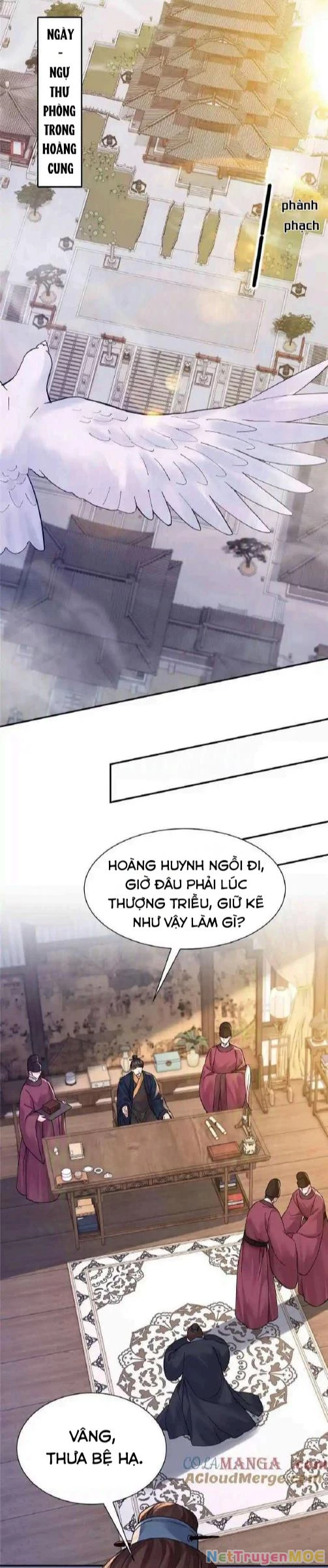 Thiều Quang Mạn Chapter 173 - Trang 2