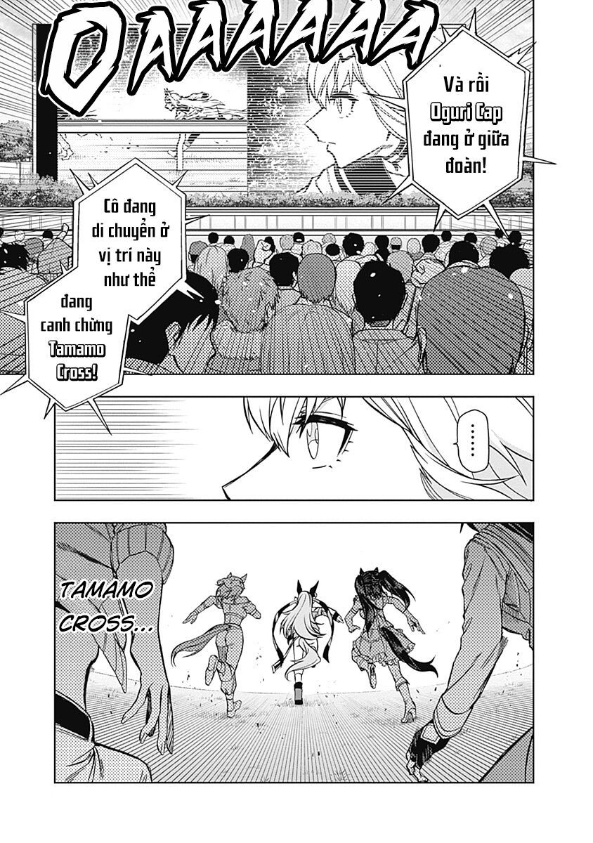 Uma Musume: Cinderella Gray Chapter 37 - Trang 2