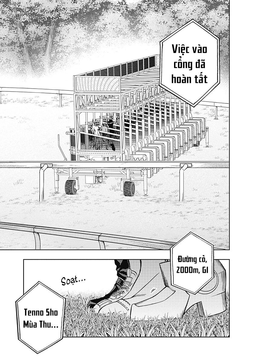 Uma Musume: Cinderella Gray Chapter 37 - Trang 2