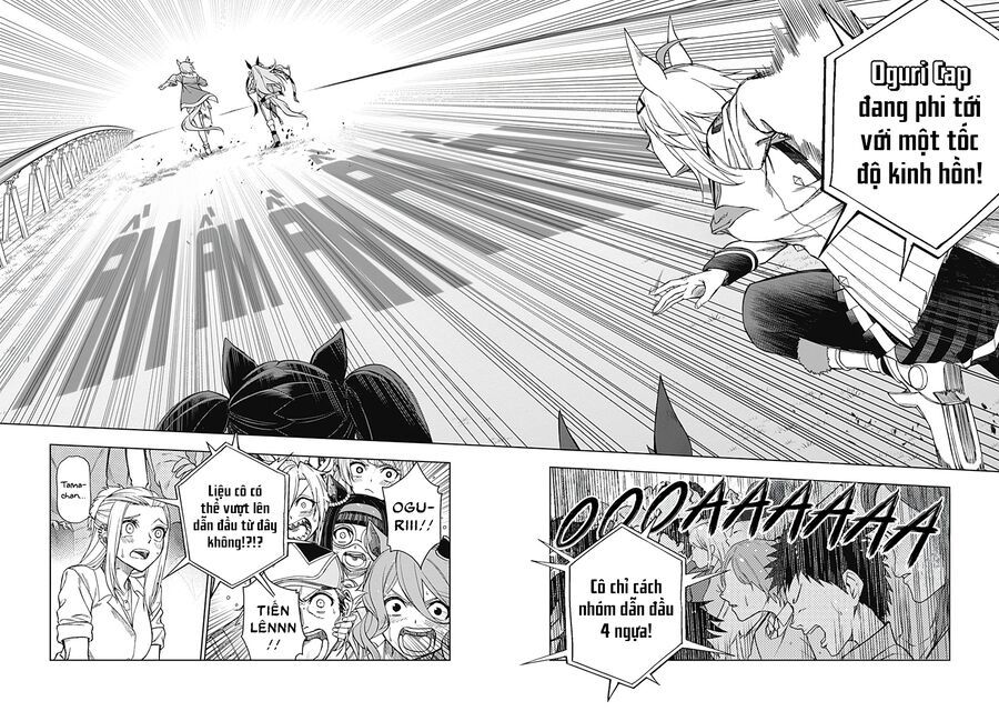 Uma Musume: Cinderella Gray Chapter 40 - Trang 2