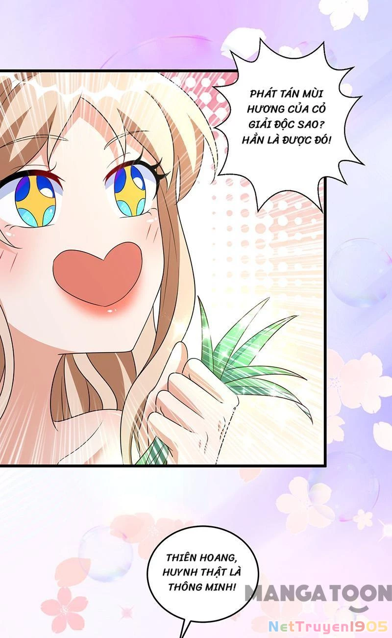 Thú Thế Cuồng Phi: Bất Đương Dị Giới Nữ Hải Vương Chapter 144 - Trang 2