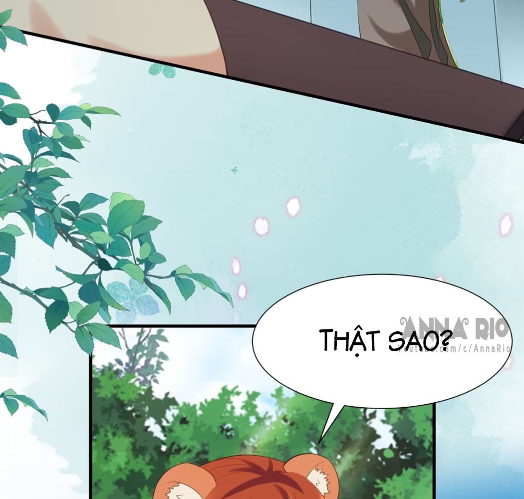 Thú Thế Nữ Vương Hôm Nay Lật Thẻ Rồi Sao ??? Chapter 89 - Trang 2