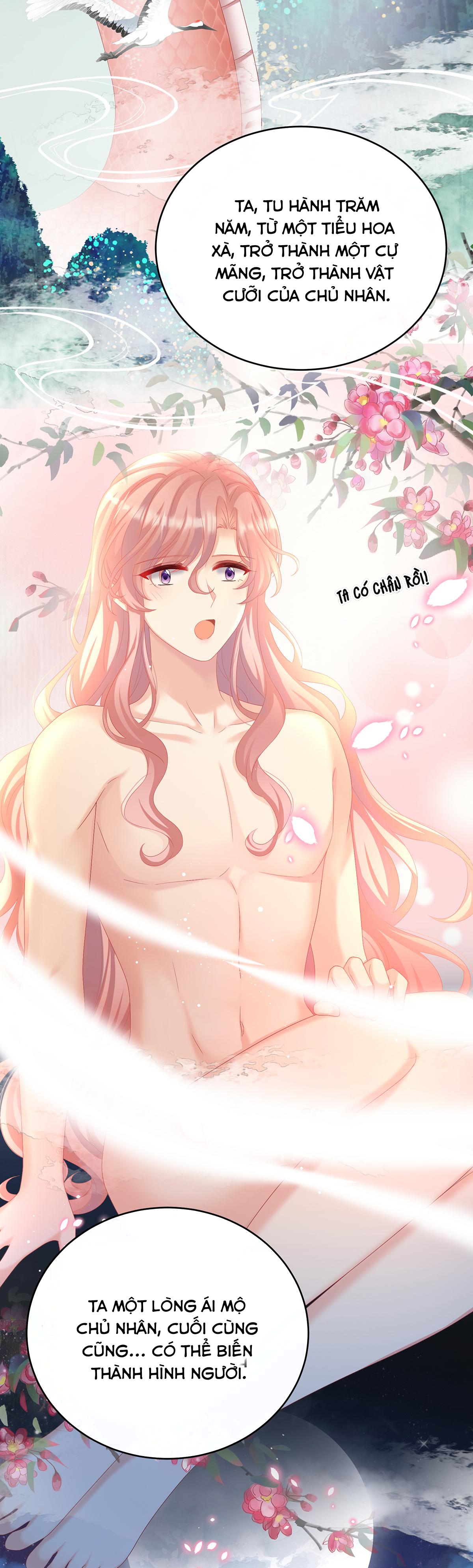 Kiều Phu Có Hỉ Chapter 77 - Trang 2