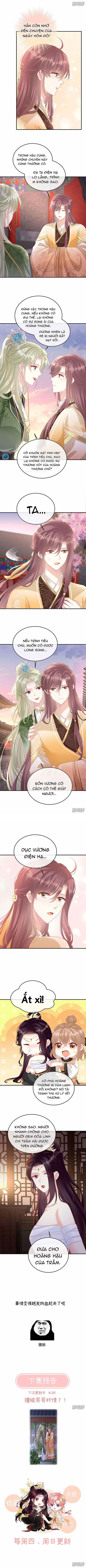 Kiều Phu Có Hỉ Chapter 112 - Trang 2