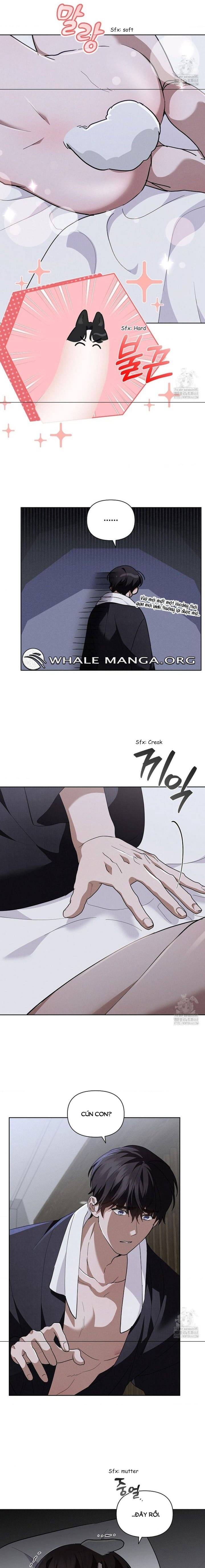 Đừng Đùa Với Cún Con Chapter 31 - Trang 2