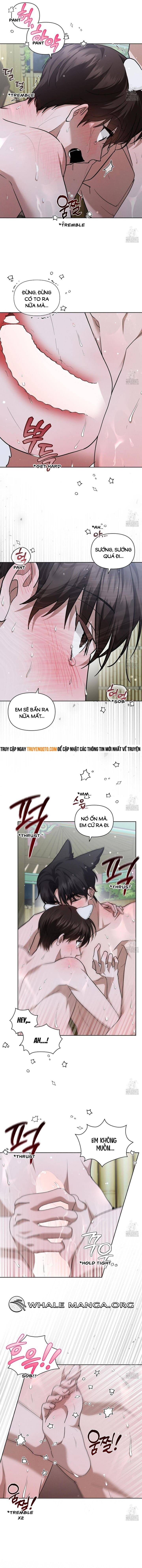 Đừng Đùa Với Cún Con Chapter 35 - Trang 2
