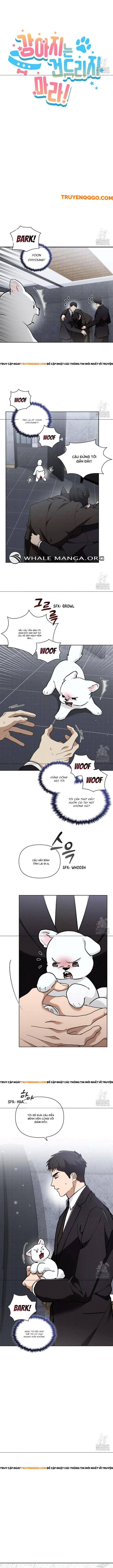 Đừng Đùa Với Cún Con Chapter 40 - Trang 2