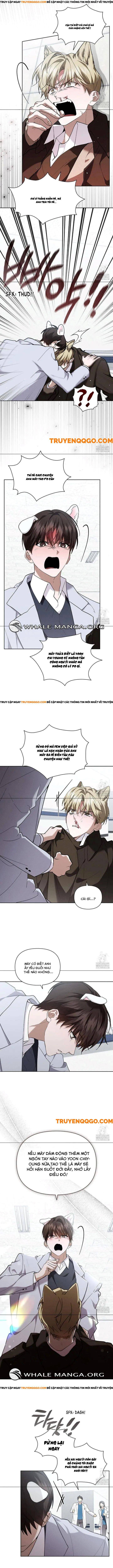 Đừng Đùa Với Cún Con Chapter 40 - Trang 2